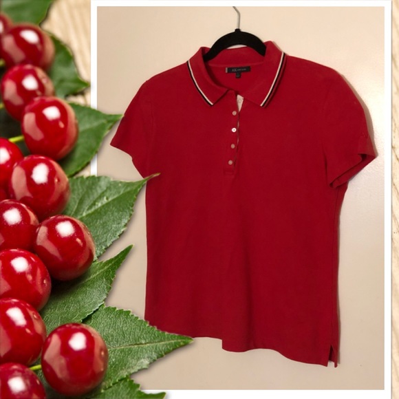 Anne Klein Tops - AK Anne Klein Short Sleeve Polo Top